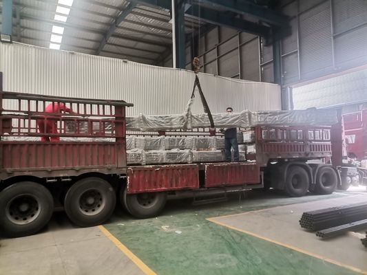 Subsurface Opgenomen klep van Uitlopersrod pump double voor olieproductie