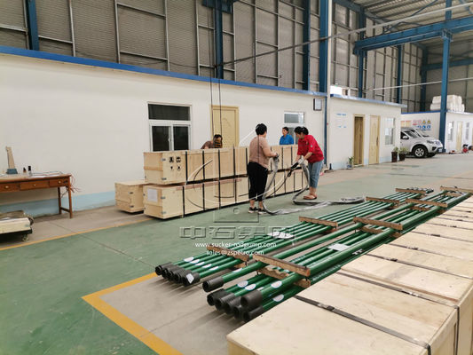 Olieveld 26ft Duikersapi 11AX THM Type goed Pompbuizenstelsel