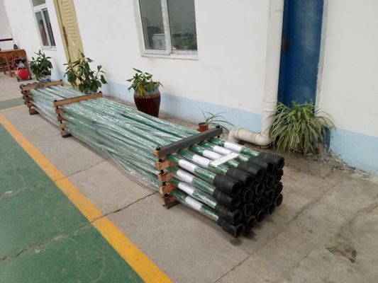 Onderdruk en Bodemuitloper Rod Pump Spray Metal Plunger