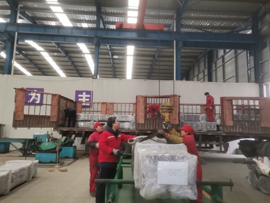 Dubbele Reizende Klep RHBC Modeldownhole pumps