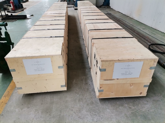 De Uitloper Rod Pump Extra Small Clearance van het nikkelcarbide voor Olieproductie