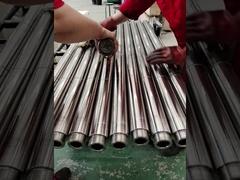 pomp met zuigerstaaf in 4/6 staal