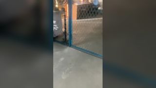 reserveonderdeelplunjer van pompstangpomp