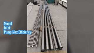 API 11AX Sucker Rod Pomp Monel Gezamenlijke Plunger